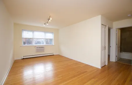1 Bedroom Lincoln Park Apartment