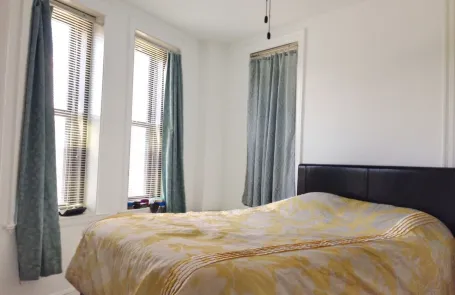 1 Bedroom Lincoln Park Apartment