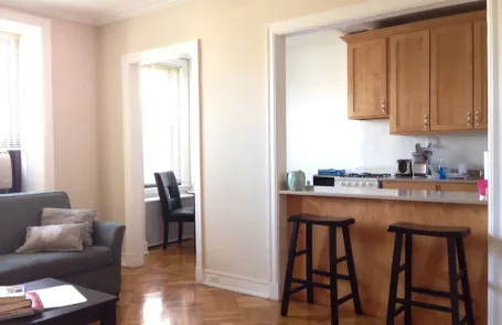 1 Bedroom Lincoln Park Apartment