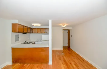 Studio Lincoln Park Apartment
