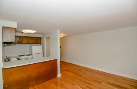 Studio Lincoln Park Apartment
