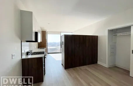 1 Bedroom West Loop Apartment