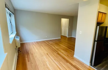 1 Bedroom Lakeview Apartment