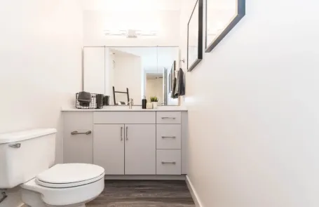 1 Bedroom Lakeshore East Apartment