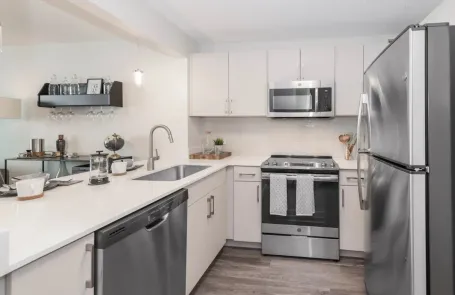 1 Bedroom Lakeshore East Apartment