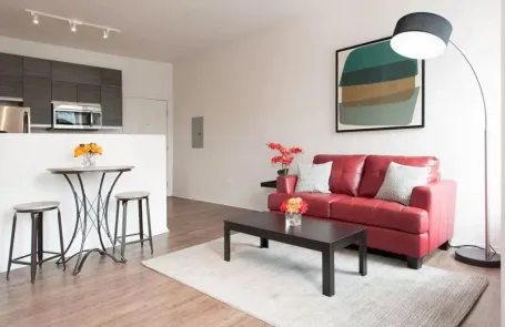 2 Bedroom South Loop Apartment