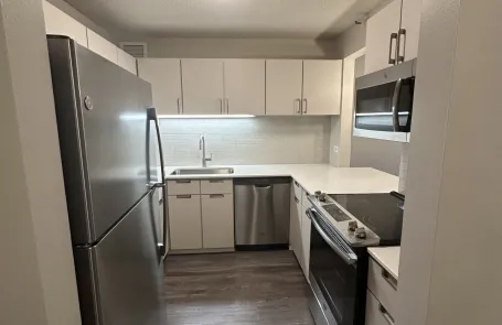 1 Bedroom Lakeshore East Apartment