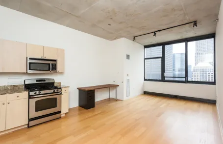 1 Bedroom Chicago Loop Apartment