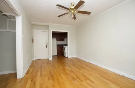 Studio Lakeview Apartment