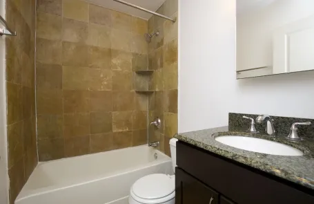1 Bedroom Lincoln Park Apartment