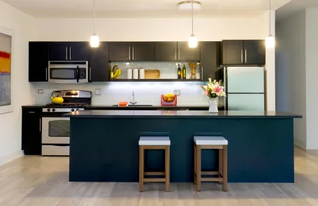 3-4 Bedroom Hyde Park Apartment