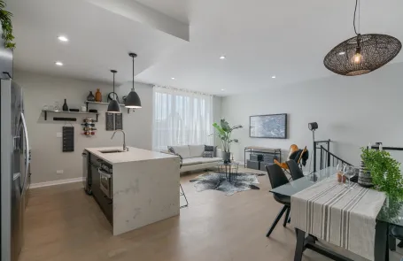 Room for Rent, Pilsen