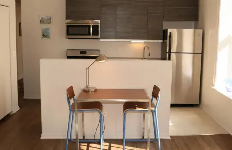 Studio South Loop Apartment