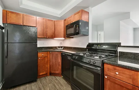 2 Bedroom Rogers Park Apartment