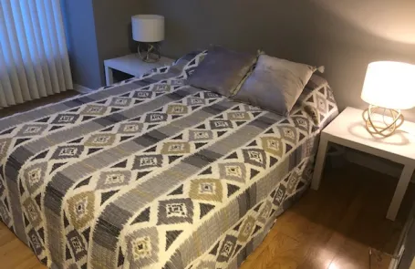 1 Bedroom Streeterville Condo