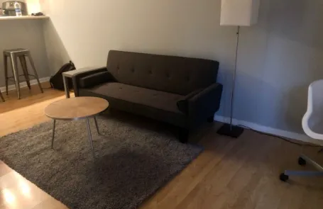 1 Bedroom Streeterville Condo