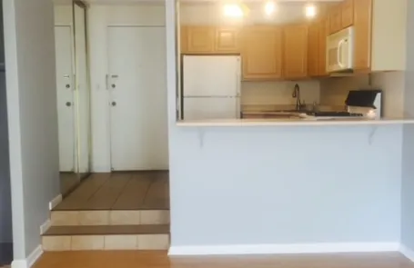 1 Bedroom Streeterville Condo