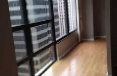 1 Bedroom Streeterville Condo