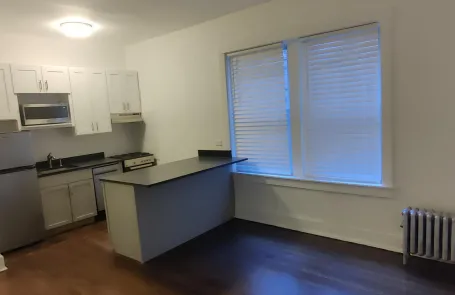 1 Bedroom Lakeview Apartment
