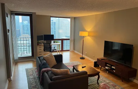 1 Bedroom Chicago Loop Condo