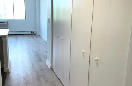 Studio Lincoln Park Apartment