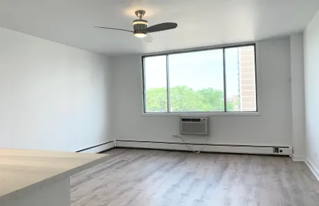 Studio Lincoln Park Apartment