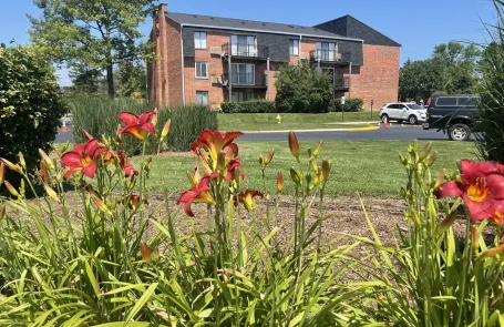 2 Bedroom Glenview Apartment