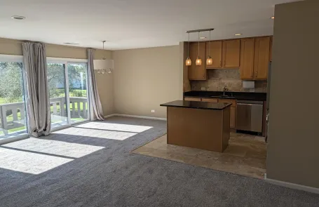 2 Bedroom Schaumburg Condo