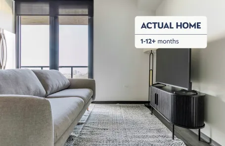 1 Bedroom West Loop Apartment