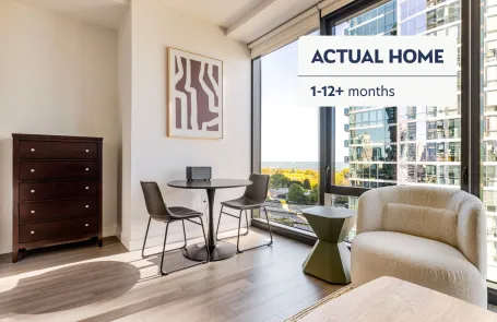 1 Bedroom South Loop Apartment
