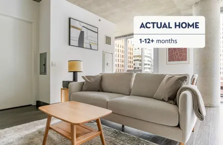 1 Bedroom Chicago Loop Apartment