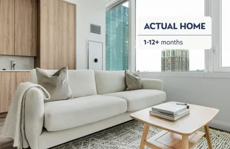 1 Bedroom South Loop Apartment