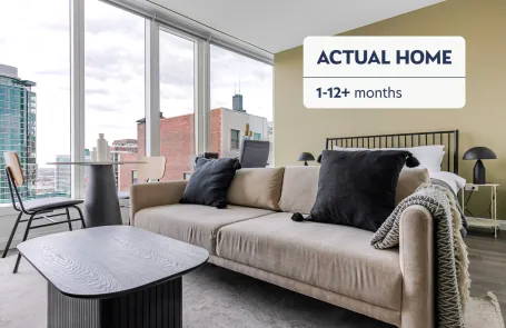 1 Bedroom South Loop Apartment