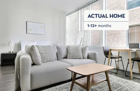 1 Bedroom South Loop Apartment