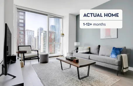1 Bedroom Streeterville Apartment