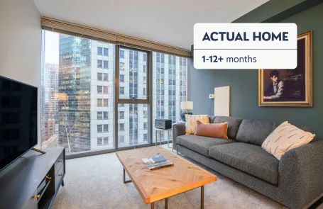 1 Bedroom Chicago Loop Apartment