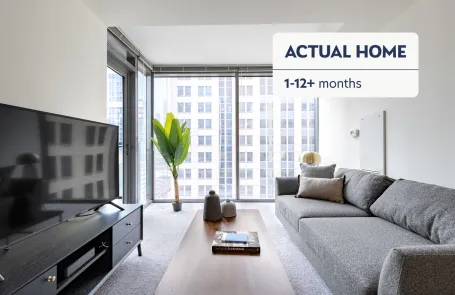 1 Bedroom Chicago Loop Apartment