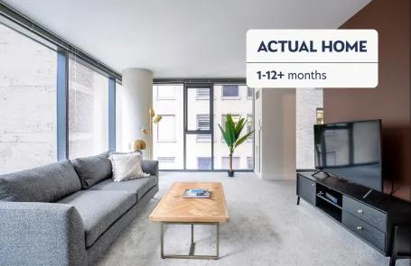 1 Bedroom Chicago Loop Apartment