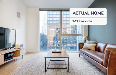 1 Bedroom Chicago Loop Apartment