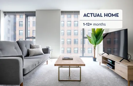 1 Bedroom Chicago Loop Apartment