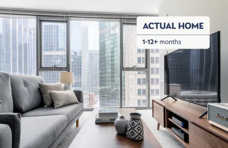 1 Bedroom Chicago Loop Apartment