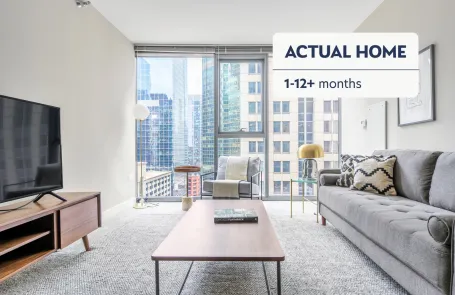 1 Bedroom Chicago Loop Apartment