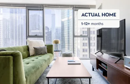 1 Bedroom Chicago Loop Apartment