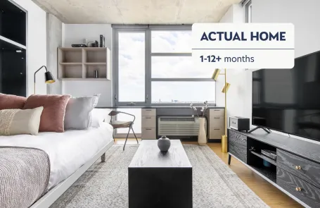1 Bedroom Lincoln Park Apartment
