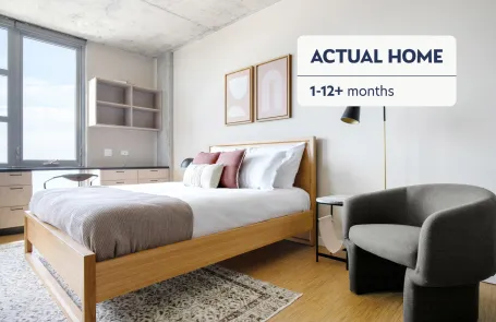 1 Bedroom Lincoln Park Apartment