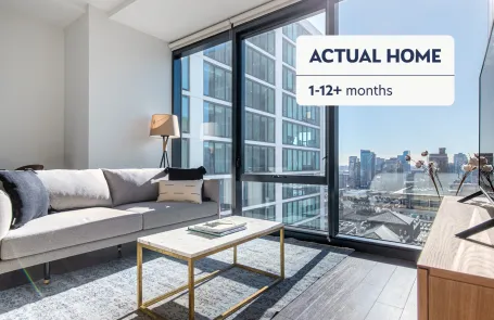 1 Bedroom South Loop Apartment