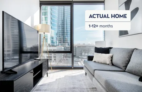 1 Bedroom South Loop Apartment
