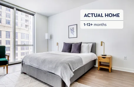 1 Bedroom Streeterville Apartment