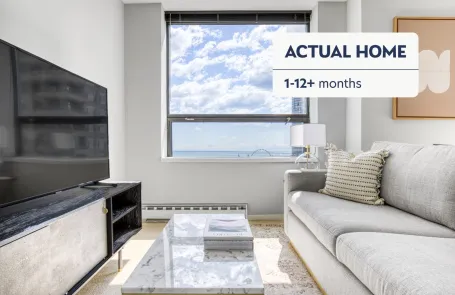 1 Bedroom Streeterville Apartment