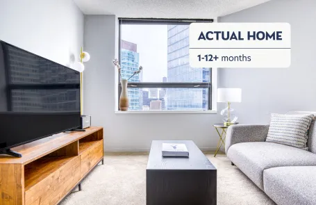 2 Bedroom Streeterville Apartment